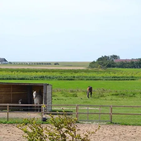 Holiday home West In Haus Luettmoor *